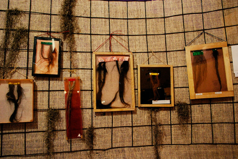 Colecciones de las colas de caballo en el museo de duendes huasca de ocampo