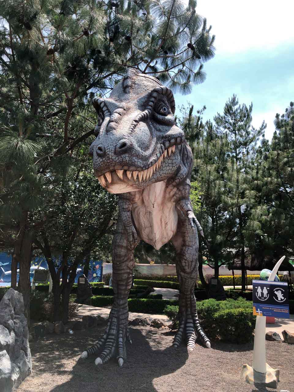 ☆ Museo de dinosaurios ☆ Dinoparque Pachuca - Toda la info aquí