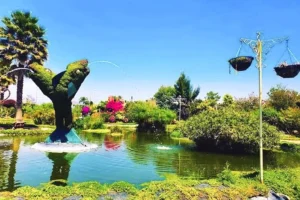 Lago-en-el-jarin-botánico-de-atlixco