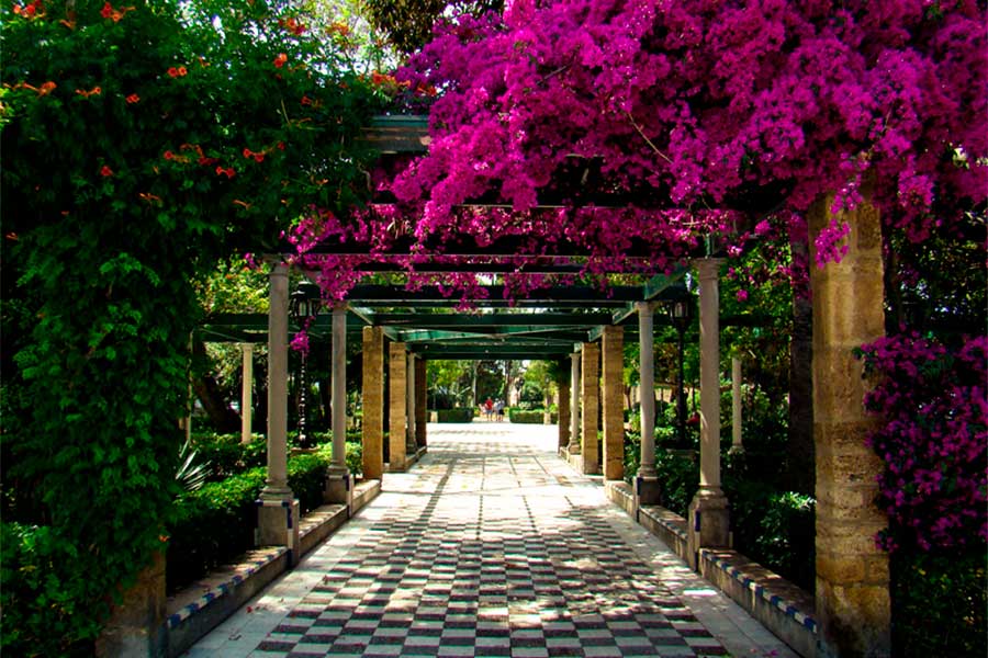 Jardines-en-la-Alameda-de-apodaca---Cádiz-España