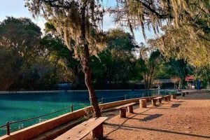 Lago-en-el-bosque-de-las-truchas-de-hidalgo