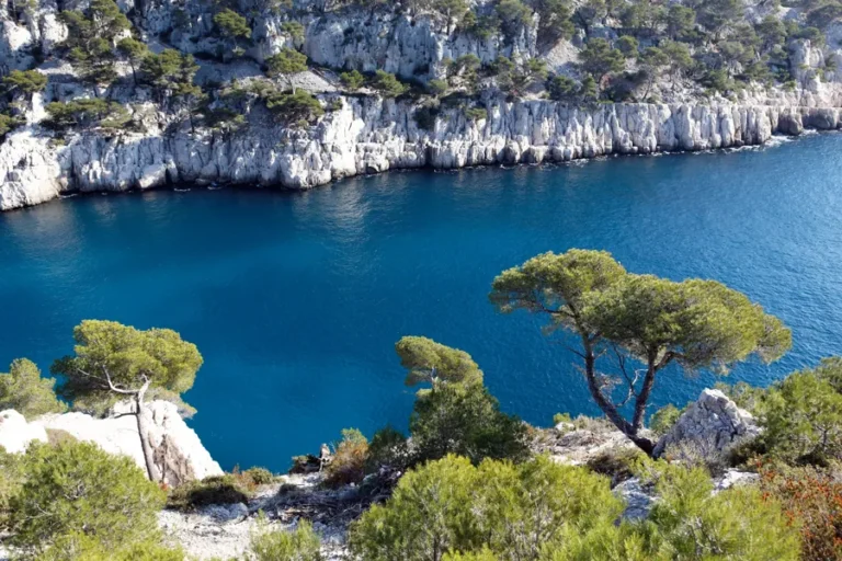Qué hacer en Marsella Francia en una parada de crucero 7 calanques-francia-acantilados-y-pinos-sobre-el-mar