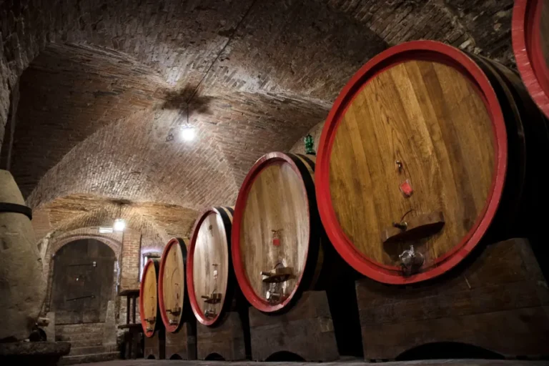 Qué hacer en Ancona Italia en una escala de crucero 10 ruta-de-bodegas-en-le-marche-vino-barricas-de-roble-en-bodega-tradicional